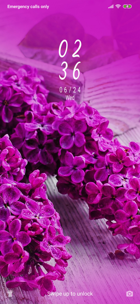 Lilac flower_3MDS screenshot