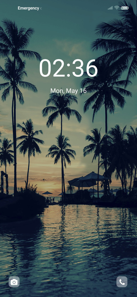 Beach coconut tree screenshot