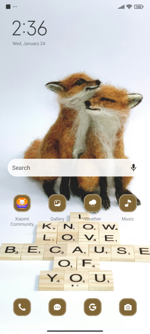 Fox Couple screenshot