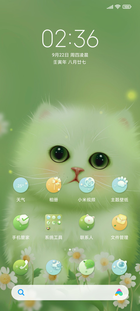 小雏菊丛中的小猫咪 screenshot