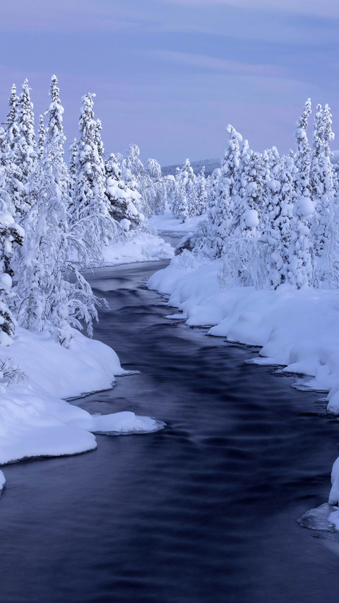 小溪雪景 screenshot