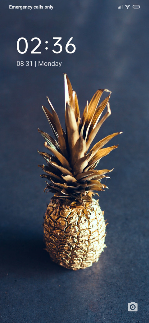 PineApple screenshot
