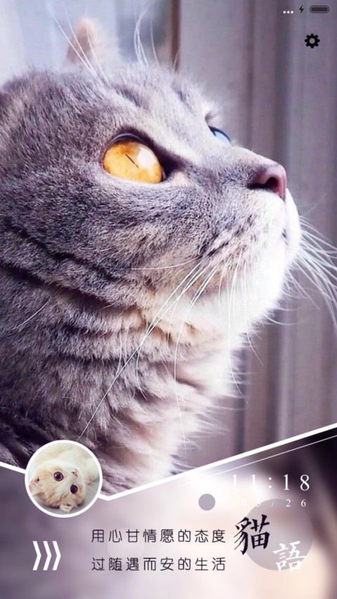 猫之物语喜猫 screenshot