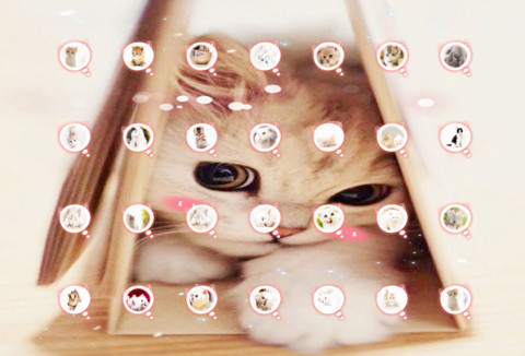 Q萌小喵酱 screenshot