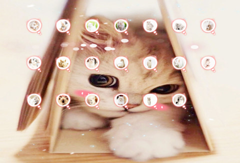 Q萌小喵酱 screenshot