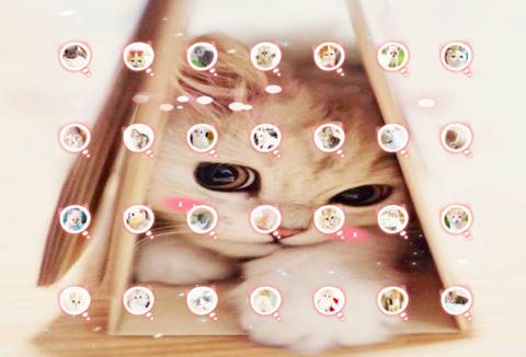 Q萌小喵酱 screenshot