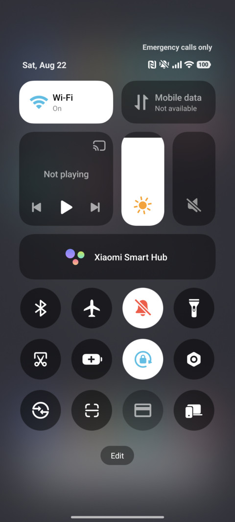 Time Forward screenshot