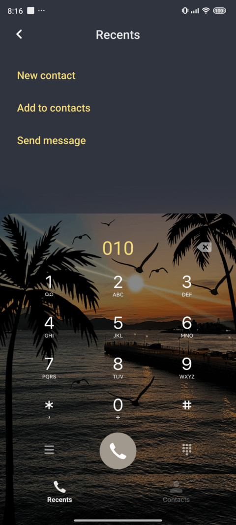 Sea and birds screenshot