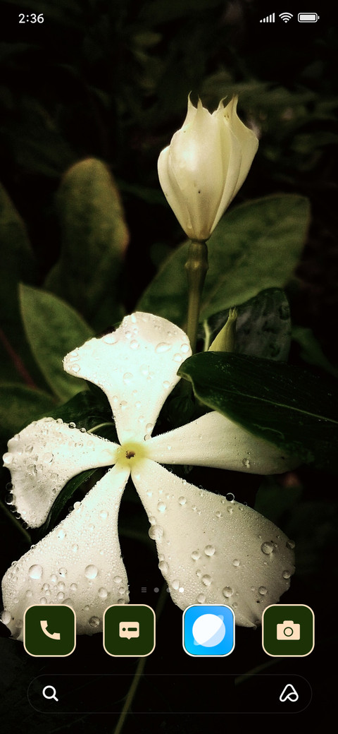 Crepe Jasmine screenshot