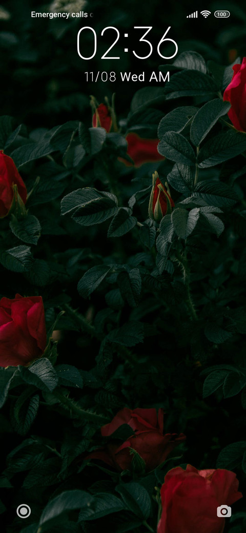 Special Theme screenshot