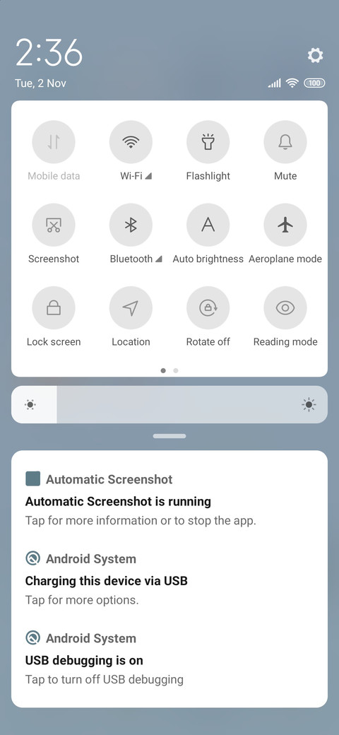 Laughing goose screenshot