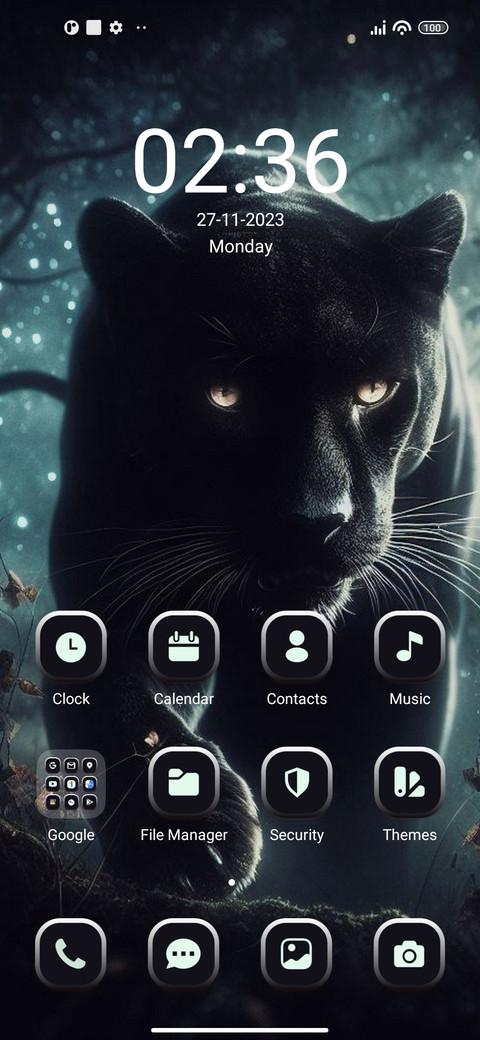 Black Panther screenshot
