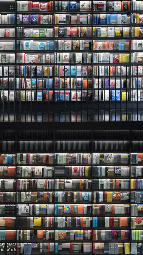 The worlds unique library 4 screenshot