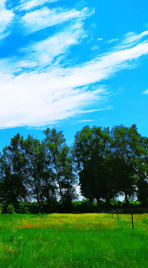 landing-1277 screenshot