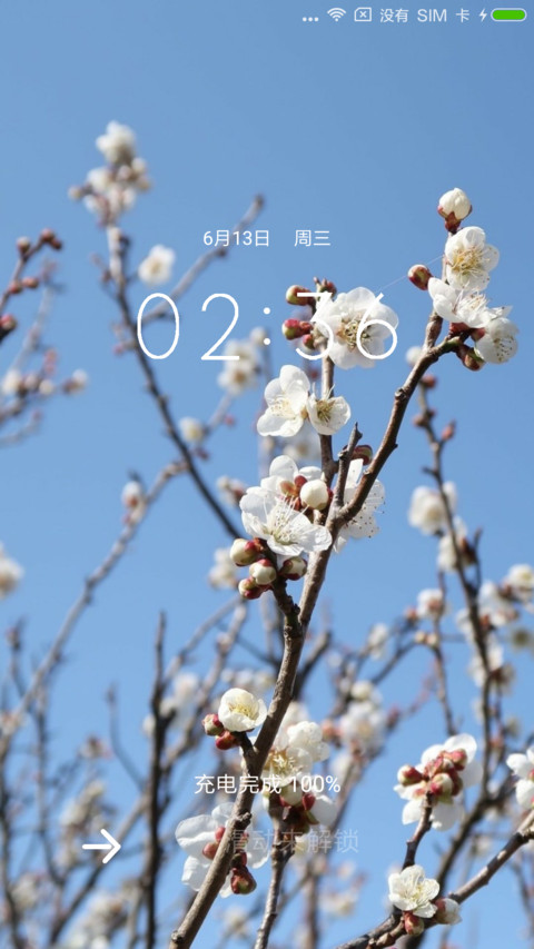 花开 screenshot