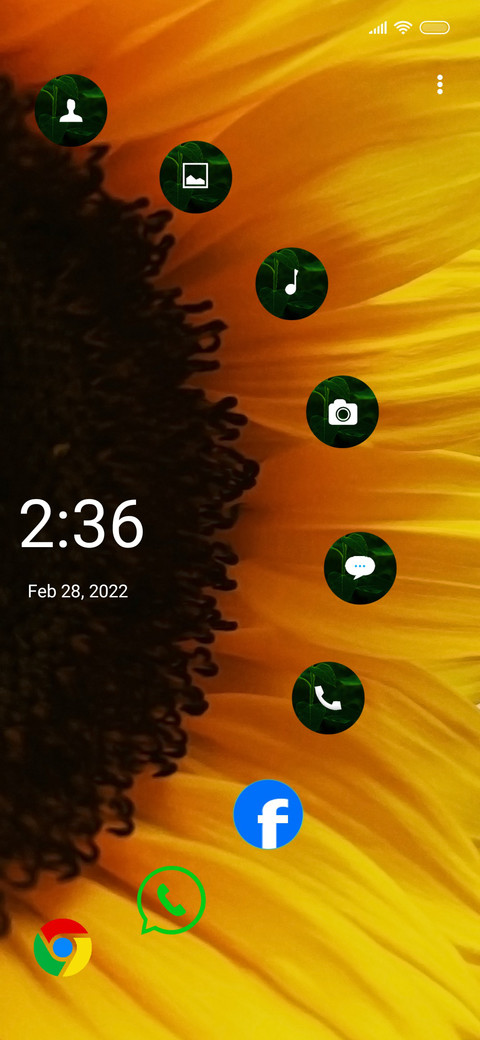 Sunflower Quo screenshot