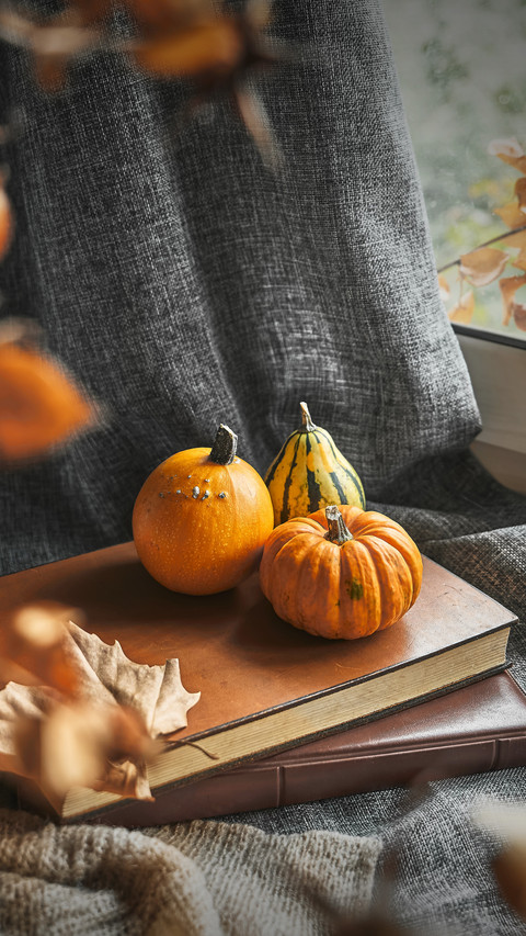 Does pumpkin really nourish the stomach 42 screenshot