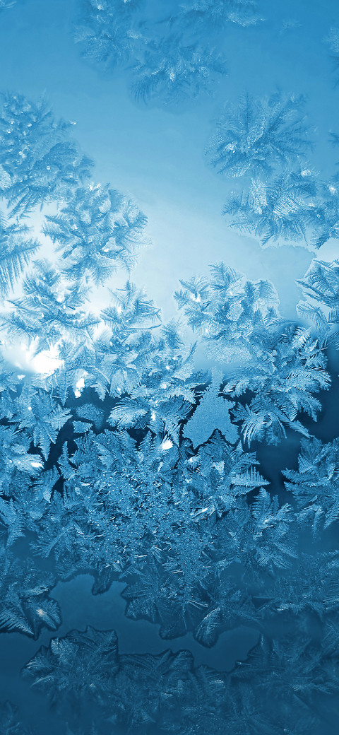 节气：霜降 screenshot