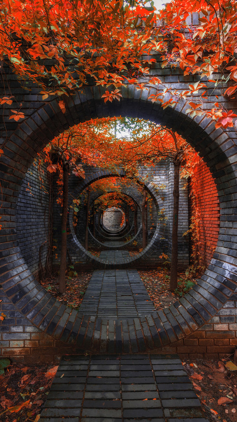 寻找最美秋天：北京 screenshot