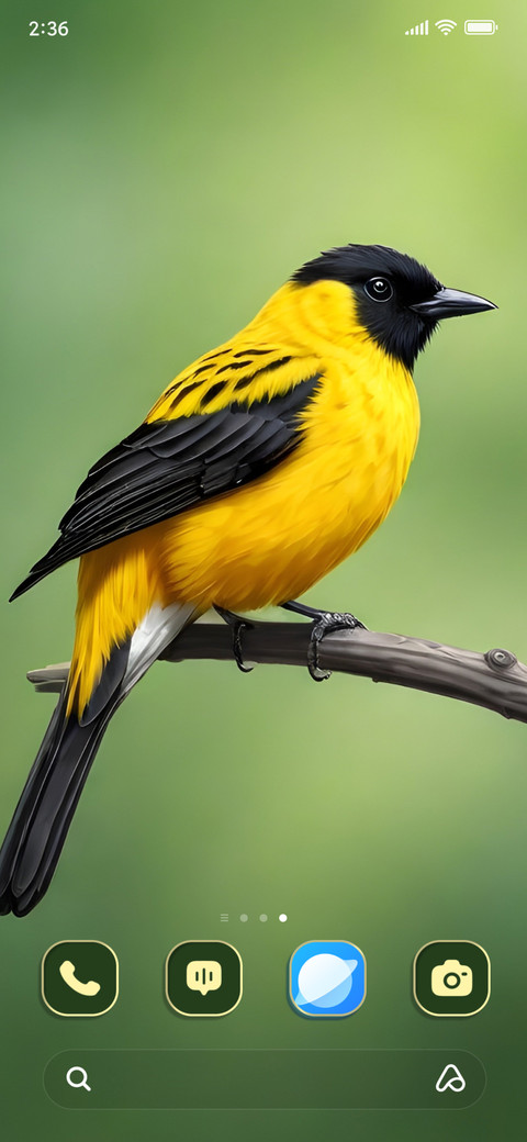 Bird Feathers screenshot