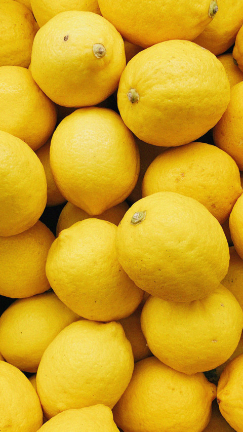 fruit screenshot