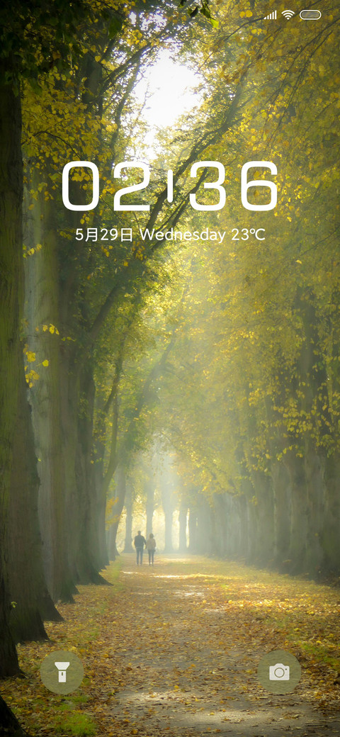 简约森系小路 screenshot