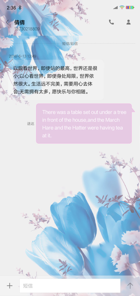 唯美郁金香 screenshot