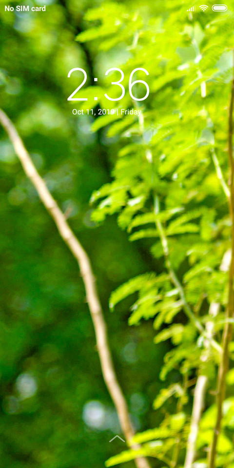 Light Green_DWM2 screenshot