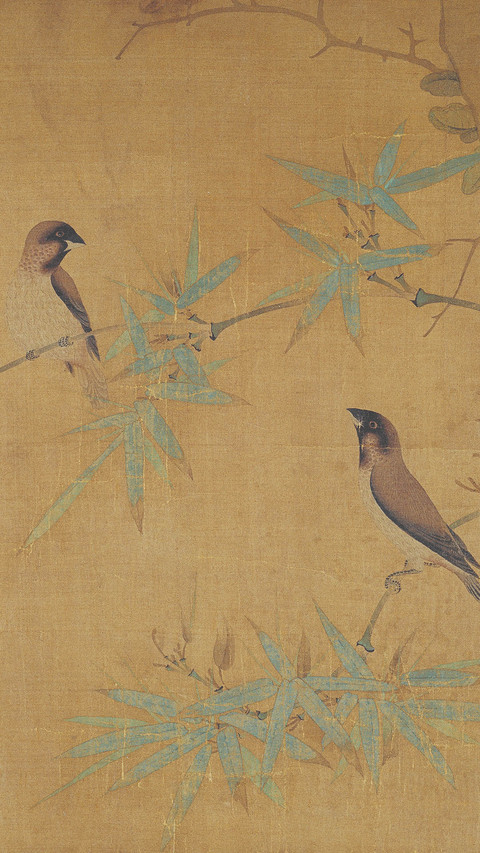 竹之美  尽显禅意 screenshot