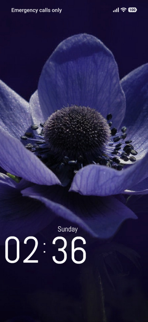 Beauty Flower screenshot