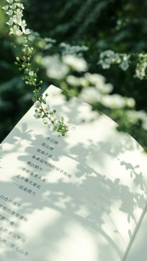 书页光影里的文字诗行 screenshot