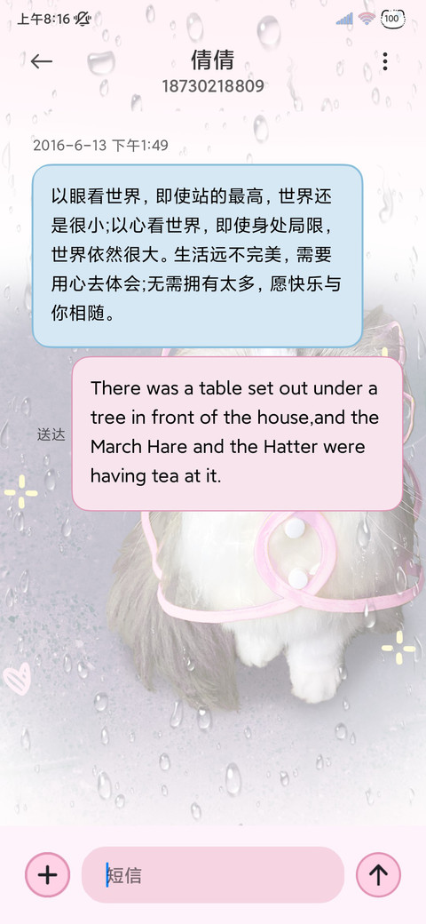 猫猫署名雨雾 screenshot