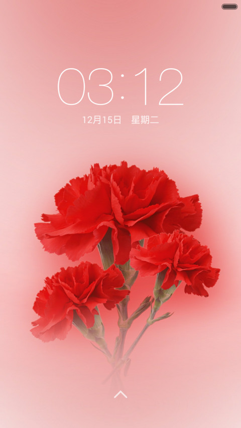 康乃馨【芳香清幽】 screenshot