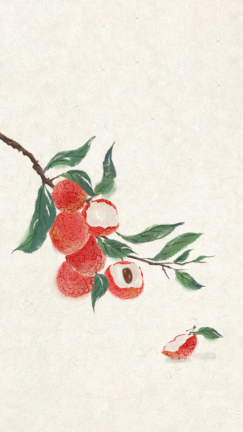 Where does feixiao litchi come from screenshot