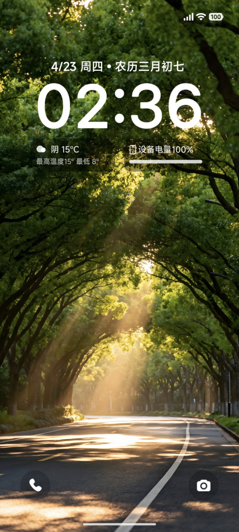 清新简约树影栖光 screenshot