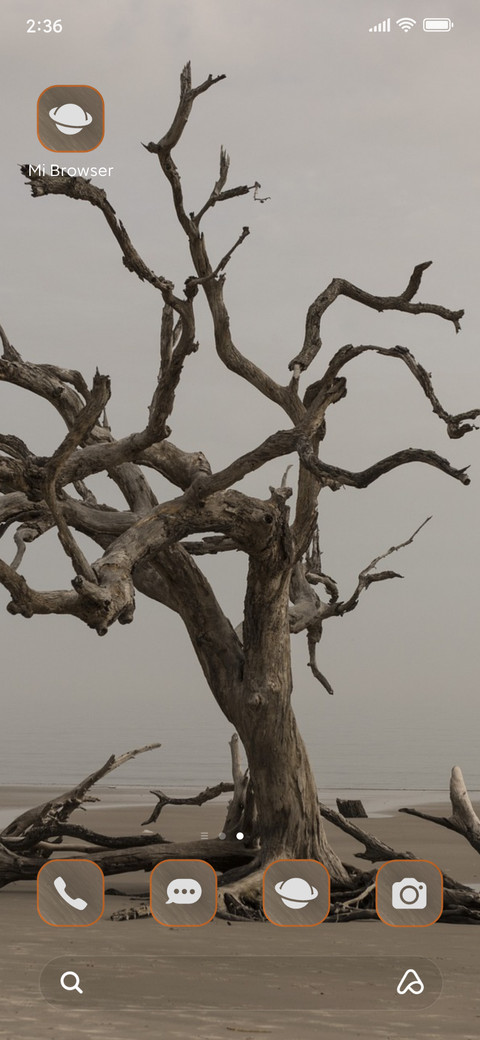 wood dry screenshot