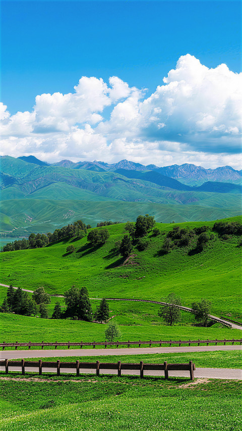 The national grassland has entered a period of appearance screenshot