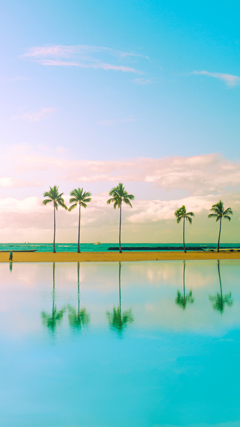 Tall Palm Trees in Tranquil Turquoise Water screenshot