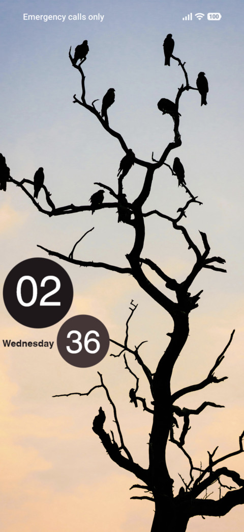Birds screenshot