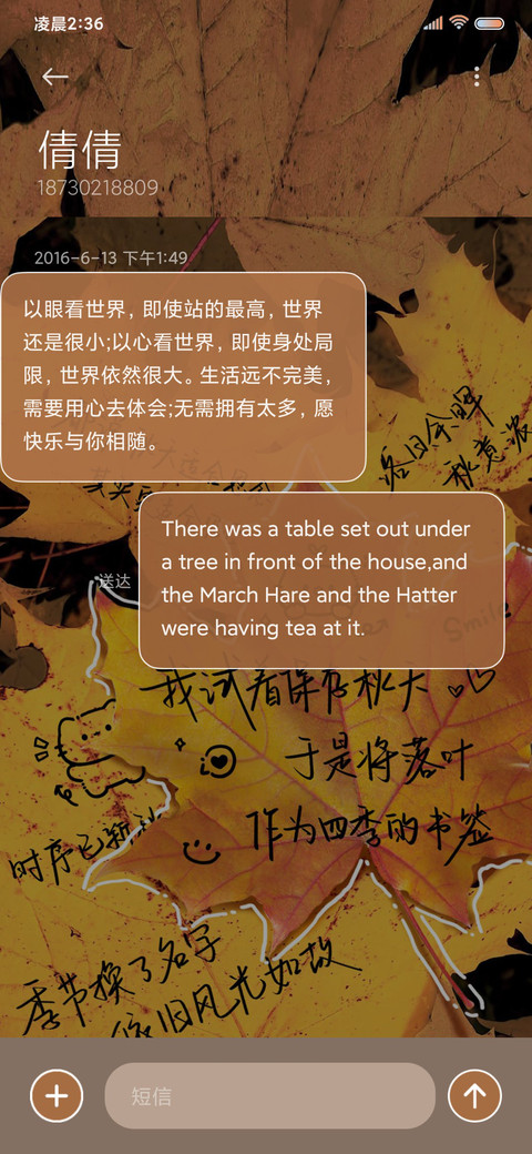 枫叶秋意浓 screenshot