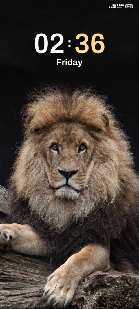 Lion screenshot