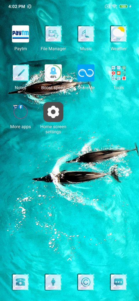 Dolphin Jess screenshot