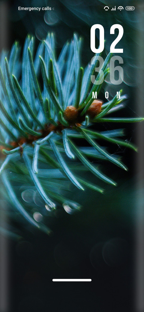 Pine screenshot