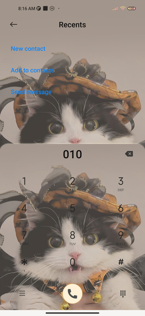 Cute Halloween cat screenshot