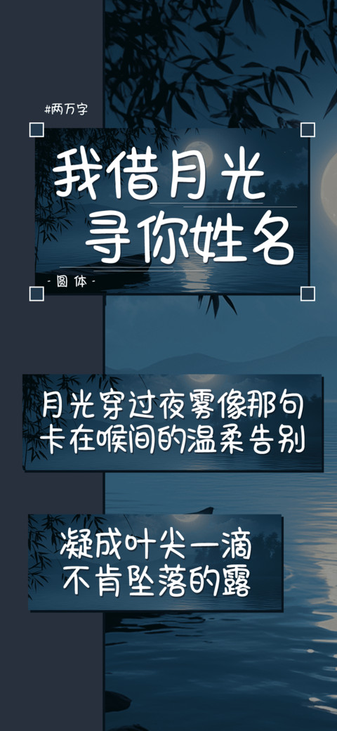 我借月光寻你姓名 screenshot