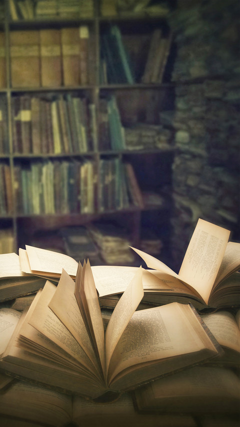 Children's Book Day screenshot