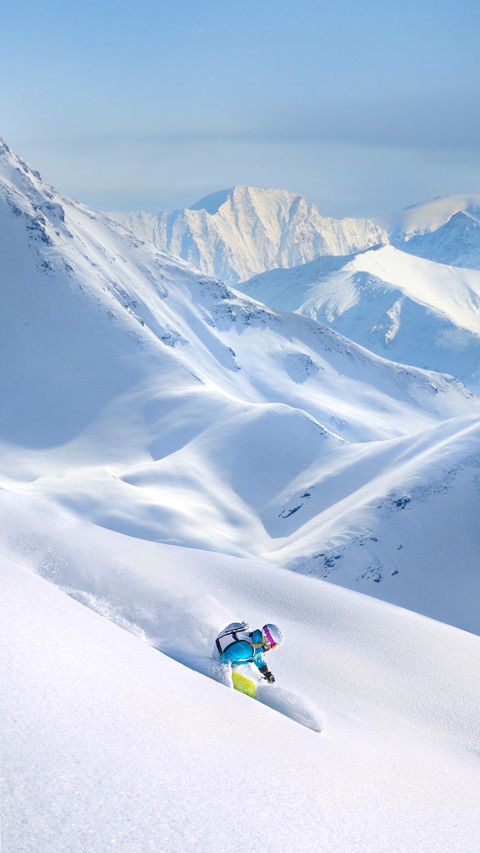 Big Mountain Skiing screenshot