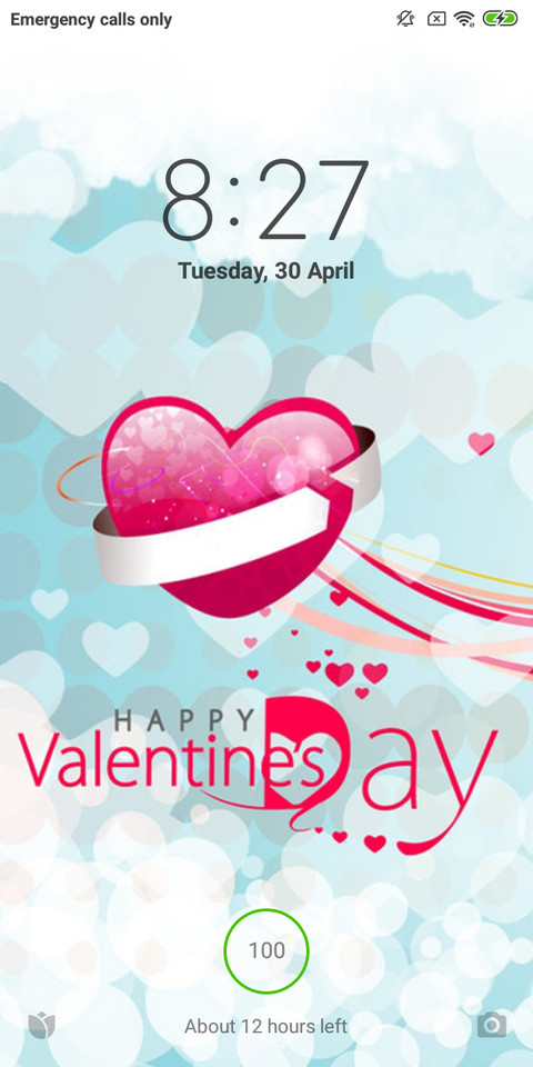 Valentine's Day  love  screenshot