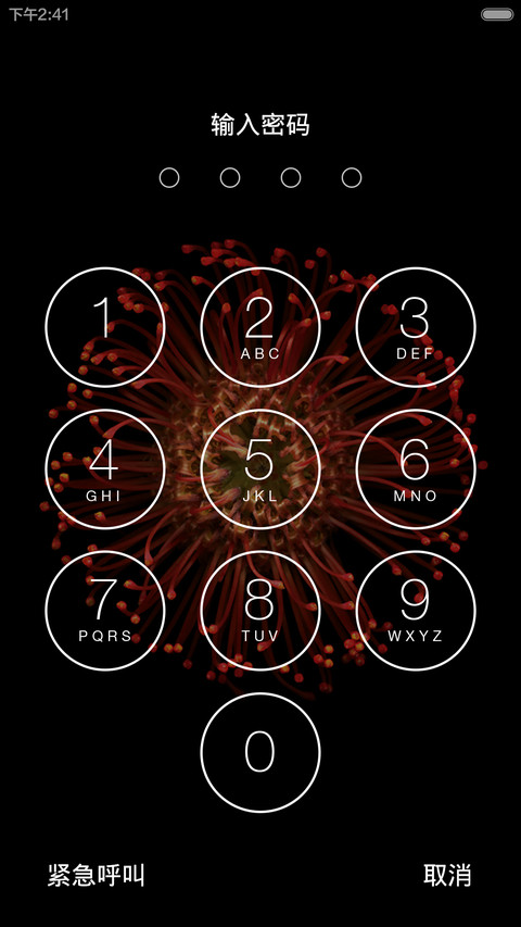 iPhone Plus screenshot
