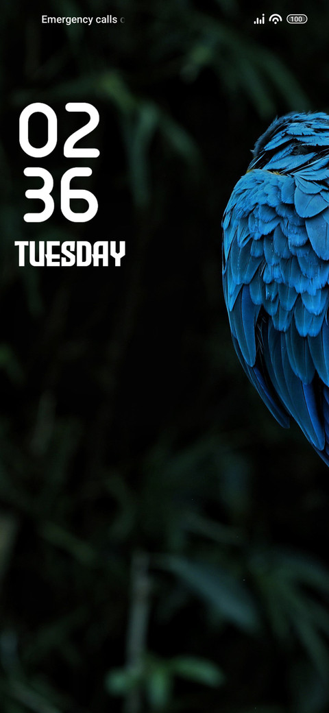 Parrot screenshot